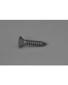 #8 x 1 A2 Stainless Steel Recessed Raised Csk Self-Tap Screw